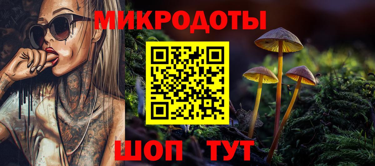Галлюциногенные грибы Psilocybine cubensis Кольчугино