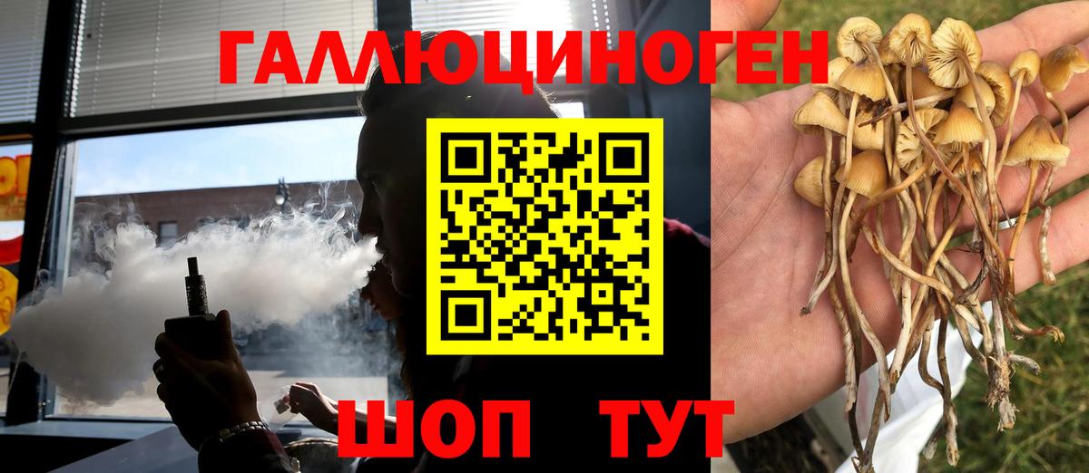 Кольчугино  Псилоцибиновые грибы Psilocybine cubensis  Вход с VPN 